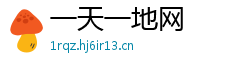 一天一地网